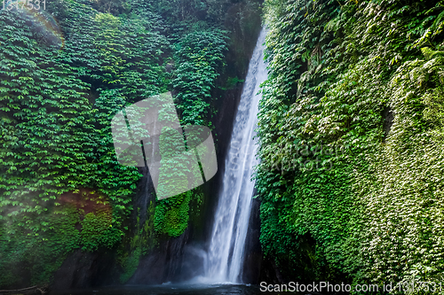 Image of Red Coral Waterfall, Munduk, Bali, Indonesia