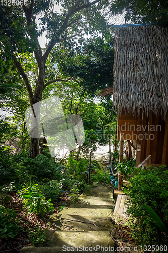 Image of Traditional tropical hut in Koh Lipe, Thailand