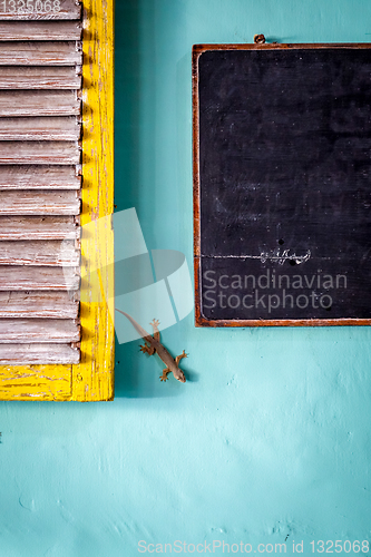 Image of Gecko and blackboard on a wall, Ubud, Bali, Indonesia