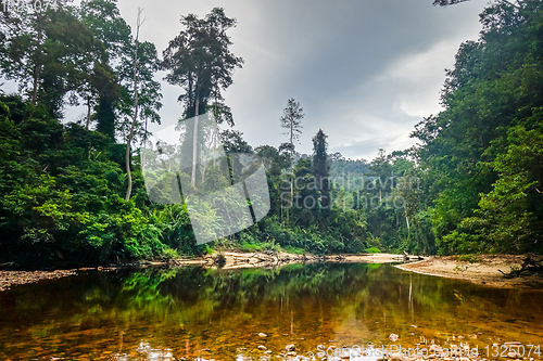 Image of River in Jungle rainforest Taman Negara national park, Malaysia