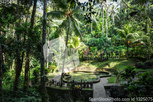 Image of Pond and jungle in Goa Gajah elephant cave temple, Ubud, Bali, I