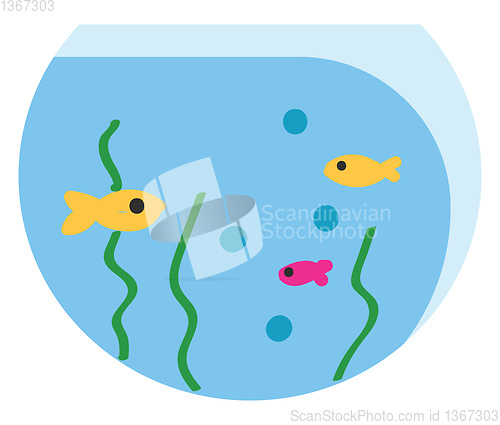Image of Fish bowl with 3 fish illustration color vector on white backgro