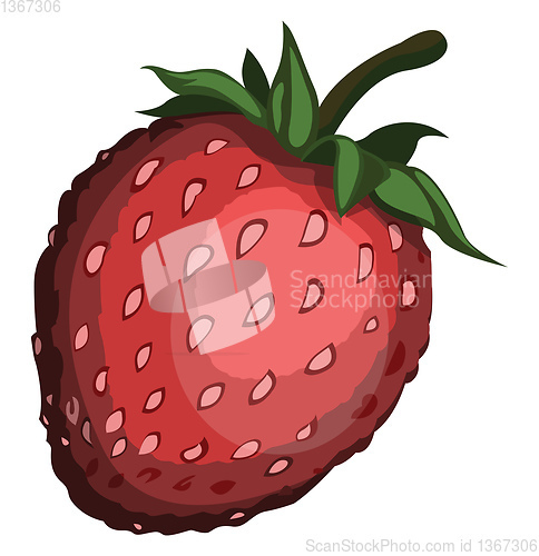 Image of Cartoon red strawberry with green petel vector illustration on w