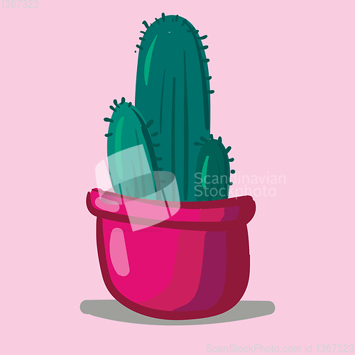 Image of Lovely cactus plant in a pink pot for interior decoration provid