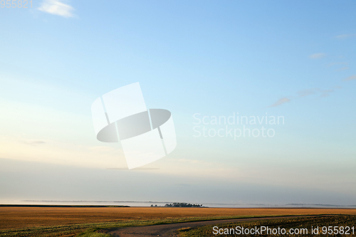 Image of Summer landscape