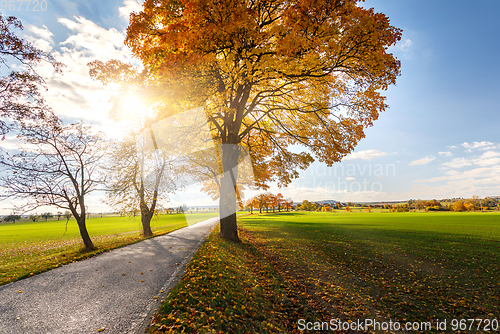 Image of Autumn landscape with fall colored trees