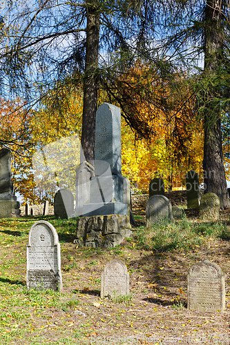 Image of forgotten and unkempt Jewish cemetery