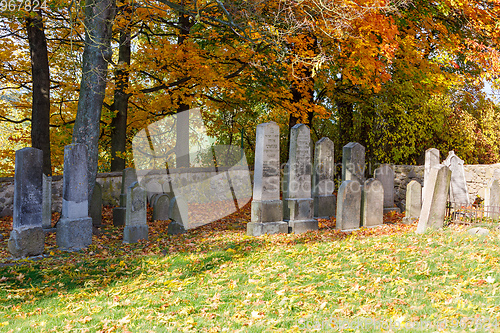 Image of forgotten and unkempt Jewish cemetery