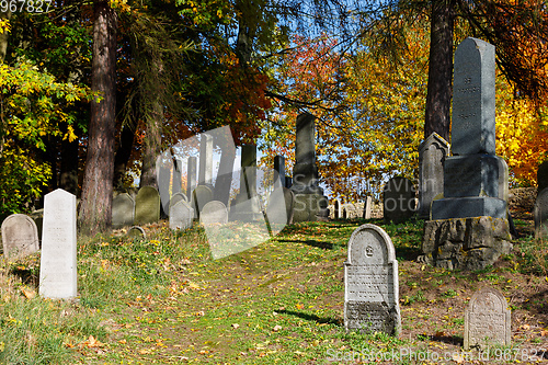 Image of forgotten and unkempt Jewish cemetery