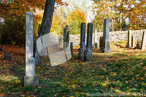 Image of forgotten and unkempt Jewish cemetery