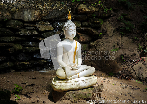 Image of Buddha statue in jungle, Wat Palad, Chiang Mai, Thailand