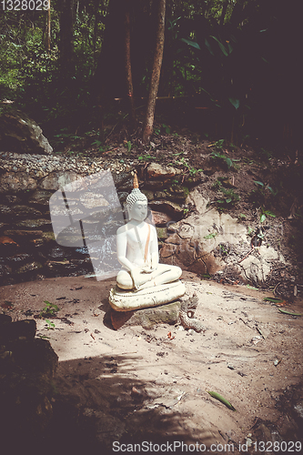 Image of Buddha statue in jungle, Wat Palad, Chiang Mai, Thailand