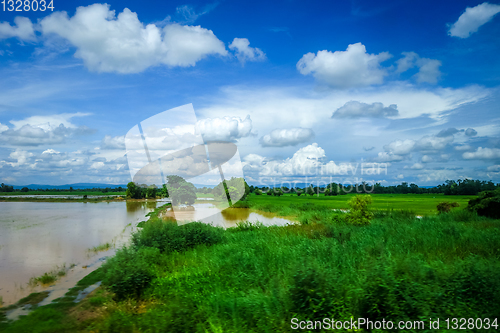 Image of Paddy field under water, Chiang Mai, Thailand