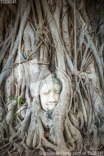 Image of Buddha Head in Tree Roots, Wat Mahathat, Ayutthaya, Thailand