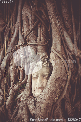 Image of Buddha Head in Tree Roots, Wat Mahathat, Ayutthaya, Thailand