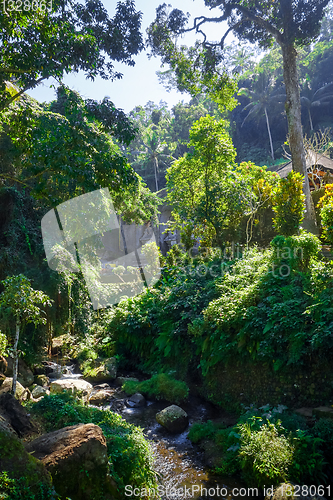 Image of Carved rocks in Gunung Kawi temple, Ubud, Bali, Indonesia