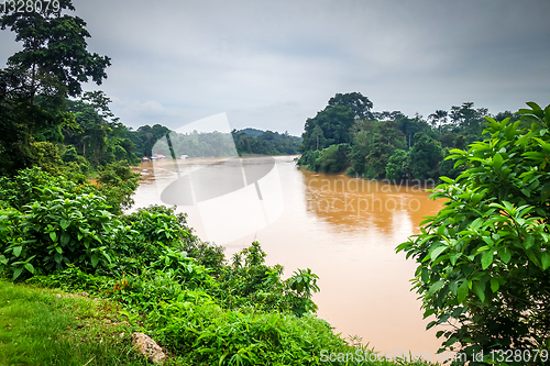 Image of River and jungle in Taman Negara national park, Malaysia