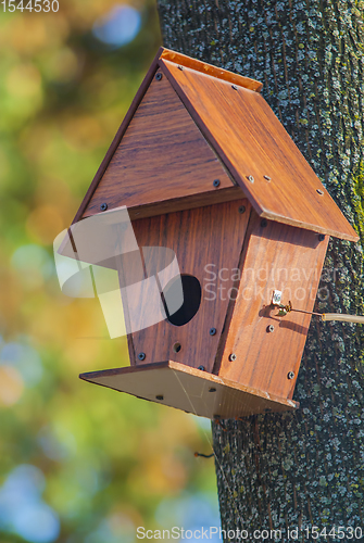 Image of Wooden birds house in the tree