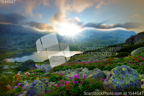 Image of Summer mountain sunset scene