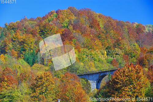 Image of Bridge in autumn forestscene