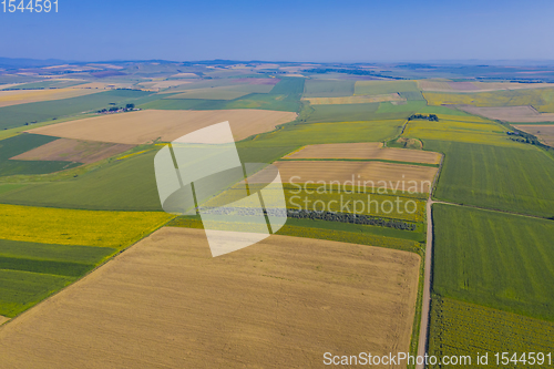 Image of Sunflower and cereal fields from above