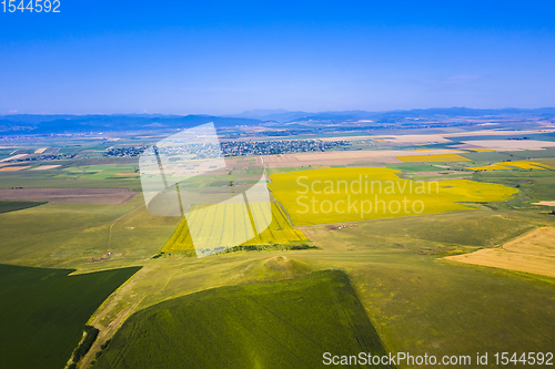 Image of Aerial view of pasture and summer fields