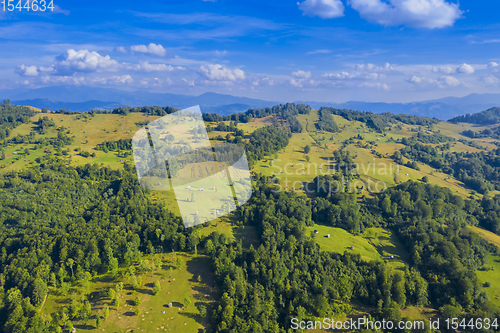 Image of Aerial hill pasture in summer