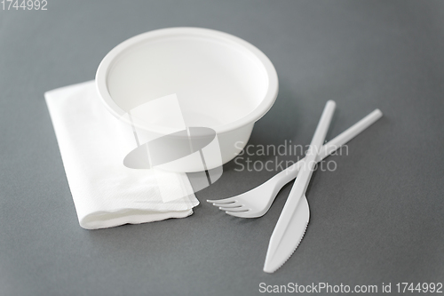 Image of disposable plastic plate with fork and knife