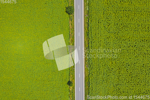 Image of Highway road between green fields