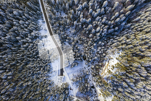 Image of Winter road tunnel entrance