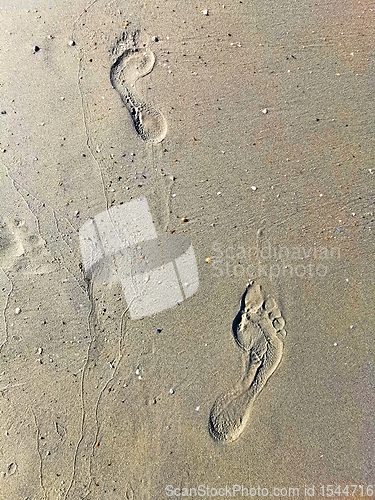 Image of Foot step on sandy beach