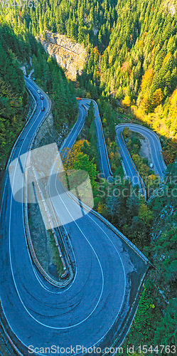 Image of Serpentine road in green forest