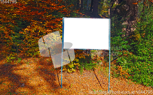 Image of White board in autumn forest