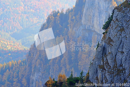 Image of Autumn rocky mountain with colorful trees