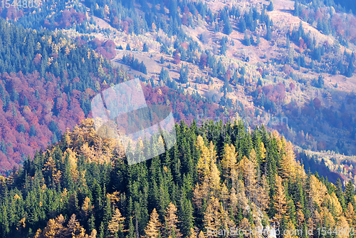 Image of Autumn trees landscape in mountains