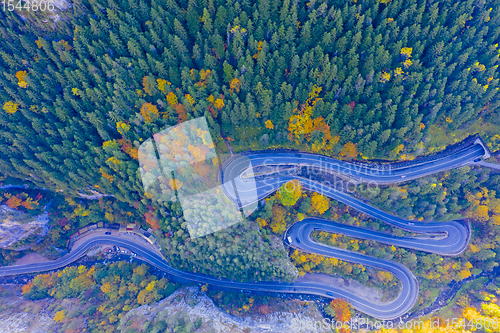 Image of Above view of autumn forest and road