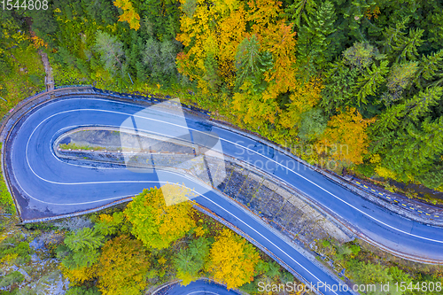 Image of Nature curvy road