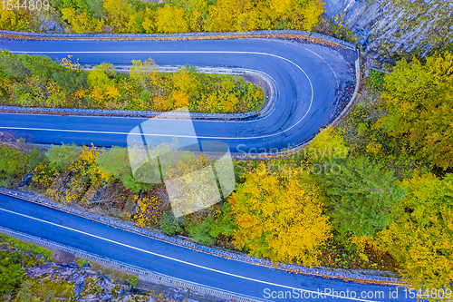 Image of Mountain road in colored forest