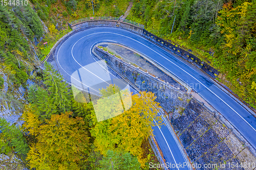 Image of Road and autumn trees