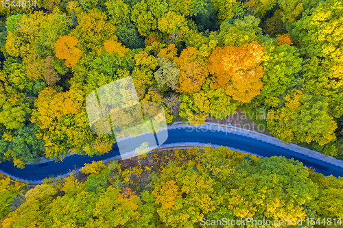 Image of Aerial view of road in autumn forest