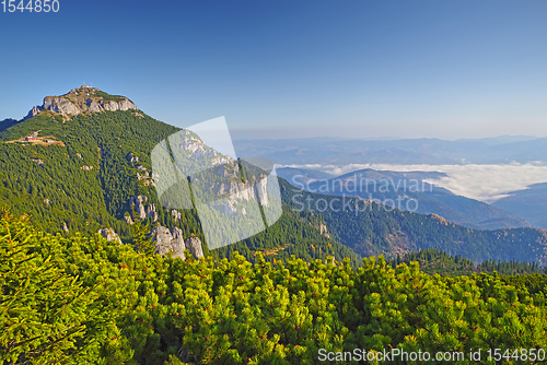 Image of Green forest mountain and valley landscape