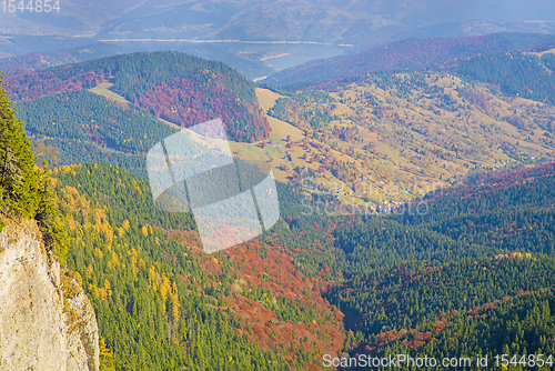 Image of Autumn aerial landscape with colored trees