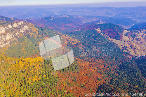 Image of Aerial view of autumn forest