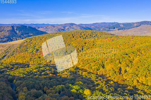 Image of Aerial view of autumn forest