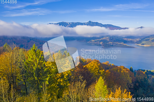 Image of Autumn forest trees and foggy landscape