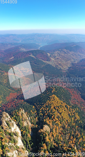 Image of Aerial view of autumn forest trees