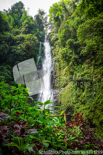 Image of Melanting Waterfall, Munduk, Bali, Indonesia