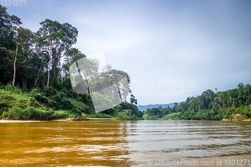 Image of River and jungle in Taman Negara national park, Malaysia