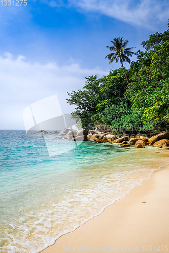 Image of Turtle Beach, Perhentian Islands, Terengganu, Malaysia