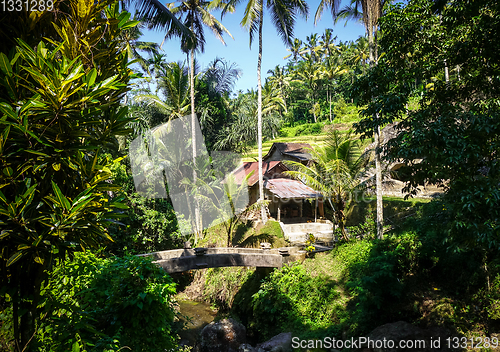 Image of Bridge in Gunung Kawi temple, Ubud, Bali, Indonesia